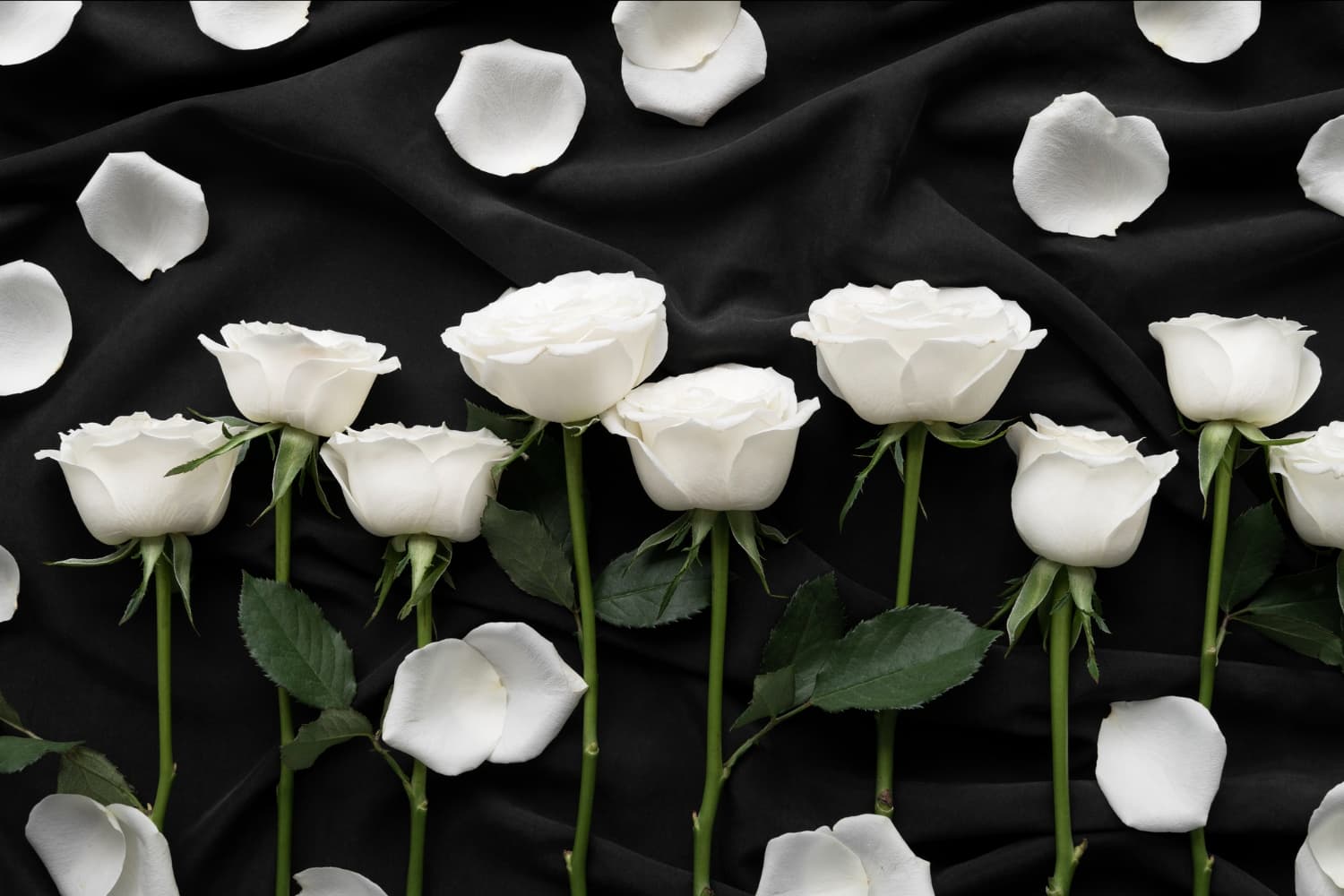 Trandafiri pentru aranjamente funerare